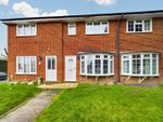 Thumbnail to rent in Old Martyrs, Crawley