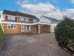 Thumbnail for sale in Blake Close, St. Albans, Hertfordshire