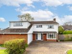 Thumbnail for sale in Holywell Road, Studham, Dunstable, Bedfordshire