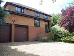 Thumbnail for sale in Tebbitt Close, Long Buckby, Northampton