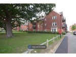 Thumbnail to rent in Pintail Court, Horley