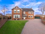 Thumbnail for sale in Norton House, South Fens, Hartlepool