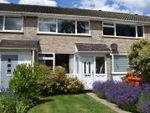 Thumbnail to rent in Strawberry Hill Close, Twickenham
