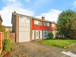 Thumbnail to rent in Fore Hill Avenue, Doncaster