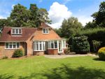Thumbnail to rent in Lewes Road, Chelwood Gate, Haywards Heath, West Sussex