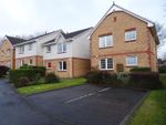 Thumbnail to rent in Jedburgh Place, Perth