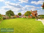 Thumbnail for sale in Stortford Road, Little Hadham