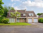 Thumbnail for sale in Brackendene Close, Horsell, Woking, Surrey