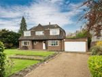 Thumbnail for sale in Sandown Road, Esher, Surrey