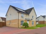 Thumbnail for sale in Budgett Brae, Motherwell