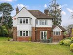 Thumbnail to rent in Old Haslemere Road, Haslemere
