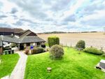 Thumbnail for sale in East Meon Road, Clanfield, Hampshire