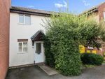 Thumbnail to rent in Shand Park, Axminster