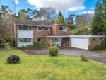 Thumbnail to rent in Pine Bank, Hindhead