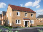 Thumbnail to rent in "The Chestnut II" at Overstone Lane, Overstone, Northampton