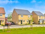 Thumbnail to rent in Cattail Drive, Dunmow