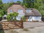 Thumbnail for sale in Timber Hill Close, Ottershaw, Chertsey