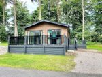 Thumbnail to rent in Lowther Holiday Park, Eamont Bridge, Penrith