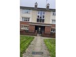 Thumbnail to rent in Linacre Road, Liverpool