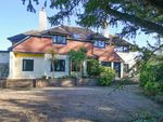 Thumbnail to rent in Whydown Road, Bexhill On Sea