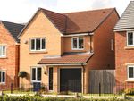 Thumbnail to rent in "The Elm" at Chestnut Way, Newton Aycliffe