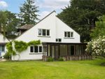 Thumbnail to rent in Gong Hill Drive, Lower Bourne, Farnham, Surrey
