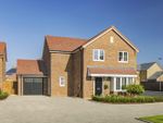 Thumbnail for sale in Plot 205, The Windsor, Saxon Park, Biddenham