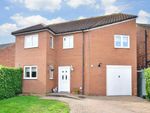 Thumbnail for sale in Beamish Close, North Weald, Essex