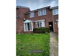 Thumbnail to rent in Magnolia Drive, Colchester Essex