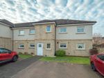 Thumbnail to rent in Grace Wynd, Hamilton, South Lanarkshire