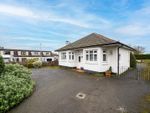 Thumbnail to rent in Strathmartine Road, Dundee