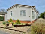 Thumbnail for sale in Lugano Avenue, Ipswich