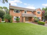 Thumbnail to rent in Dornie Road, Canford Cliffs, Poole, Dorset