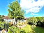 Thumbnail to rent in Mount Lee, Egham, Surrey