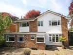 Thumbnail to rent in West Down, Great Bookham