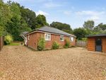 Thumbnail to rent in Tadburn Road, Romsey, Hampshire