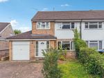 Thumbnail for sale in Field View Rise, Bricket Wood, St. Albans, Hertfordshire