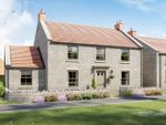 Thumbnail to rent in "Thornton" at Church Lane, Cayton, Scarborough