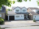 Thumbnail for sale in Dauphine Close, Coalville, Leicestershire