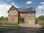 Thumbnail to rent in "Lawson" at Beaumont Hill, Darlington