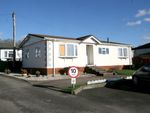 Thumbnail to rent in Yew Tree Park Homes, Ashford