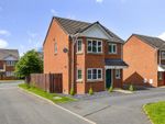 Thumbnail to rent in Tremont Park, Llandrindod Wells