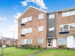 Thumbnail to rent in Cadogan Court, Sutton