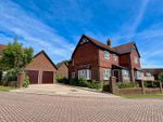 Thumbnail to rent in De Moleyns Close, Bexhill-On-Sea