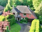 Thumbnail for sale in Druids Close, Ashtead