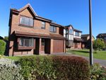 Thumbnail for sale in Borage Close, Thornton