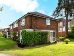 Thumbnail to rent in Martins Close, West Wickham