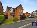 Thumbnail to rent in Camellia Drive, Leyland
