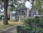 Thumbnail to rent in The Ridings, Frimley, Camberley, Surrey