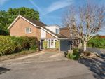 Thumbnail to rent in Chesholt Close, Fernhurst, Haslemere